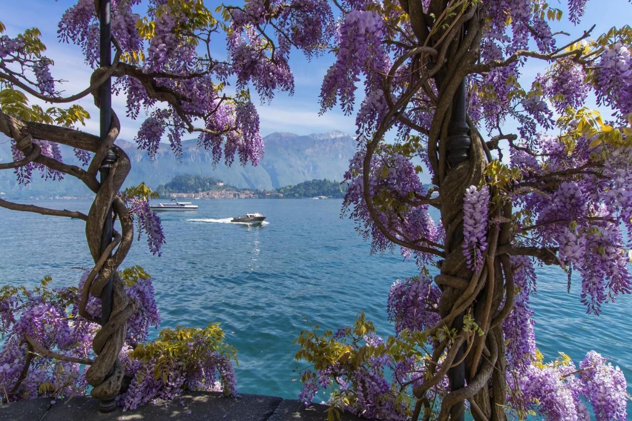 Belmonte Terrazzo Διαμέρισμα Pianello Del Lario Εξωτερικό φωτογραφία